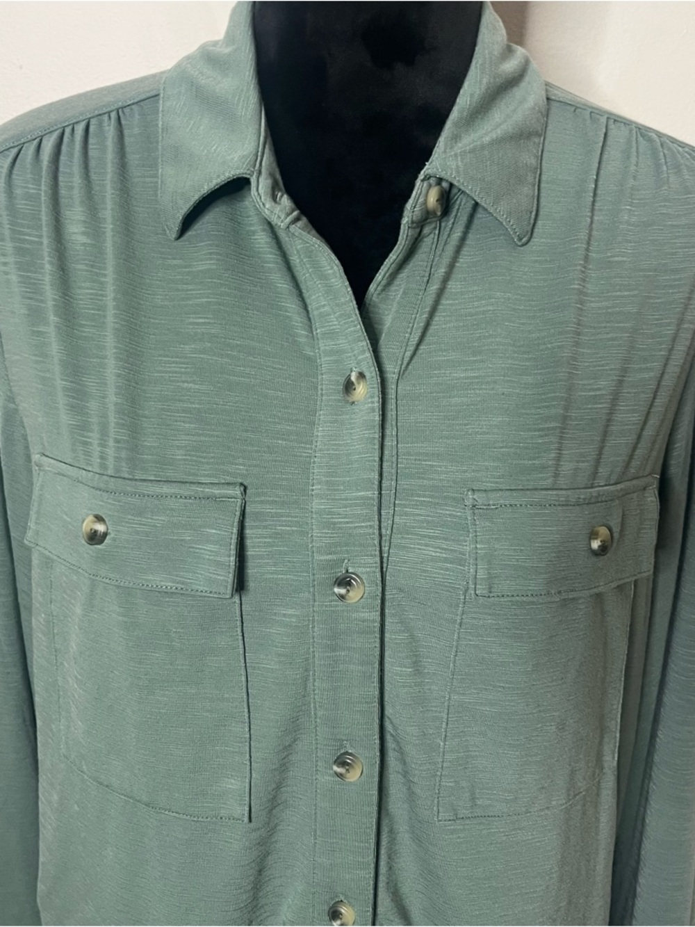 L.L Bean Women’s Camden Sage Green Button-Front Collar Shirt Sz M~NWT - Picture 4 of 12